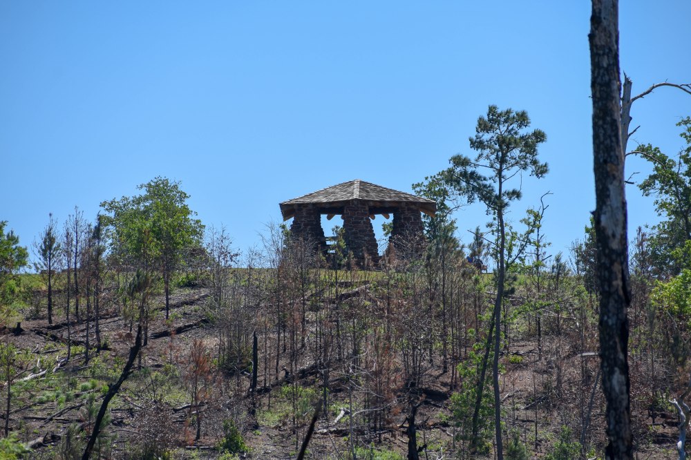 Bastrop State Park-26