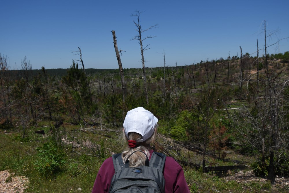 Bastrop State Park-30