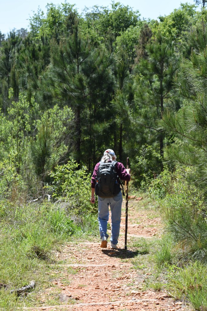 Bastrop State Park-34