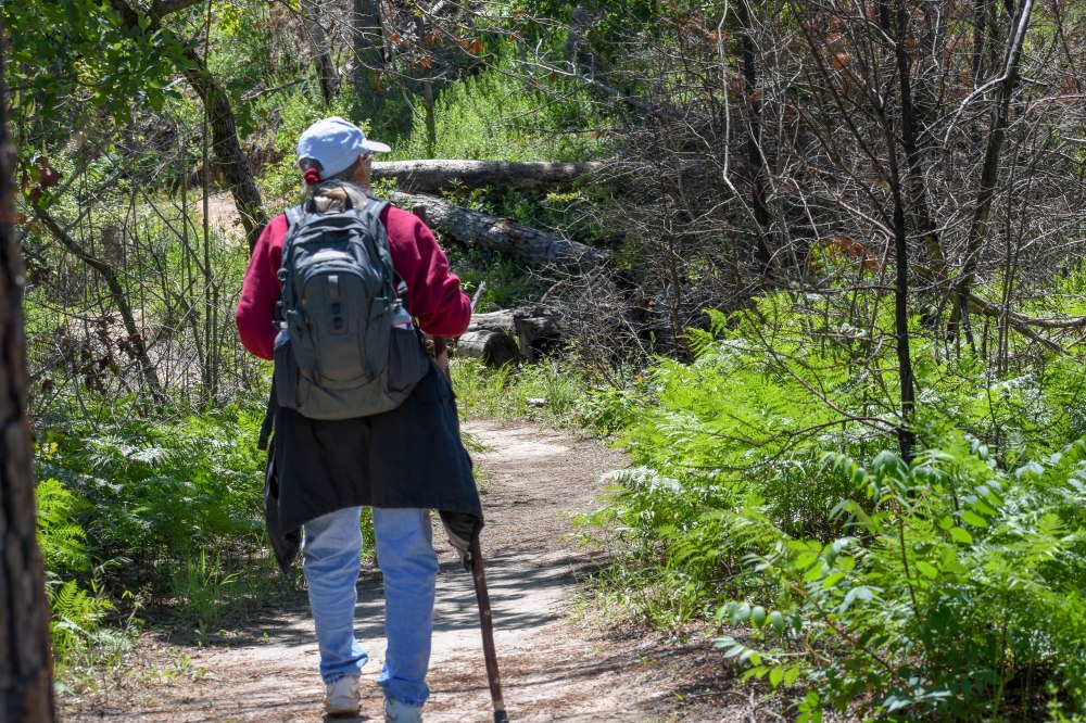 Bastrop State Park-21