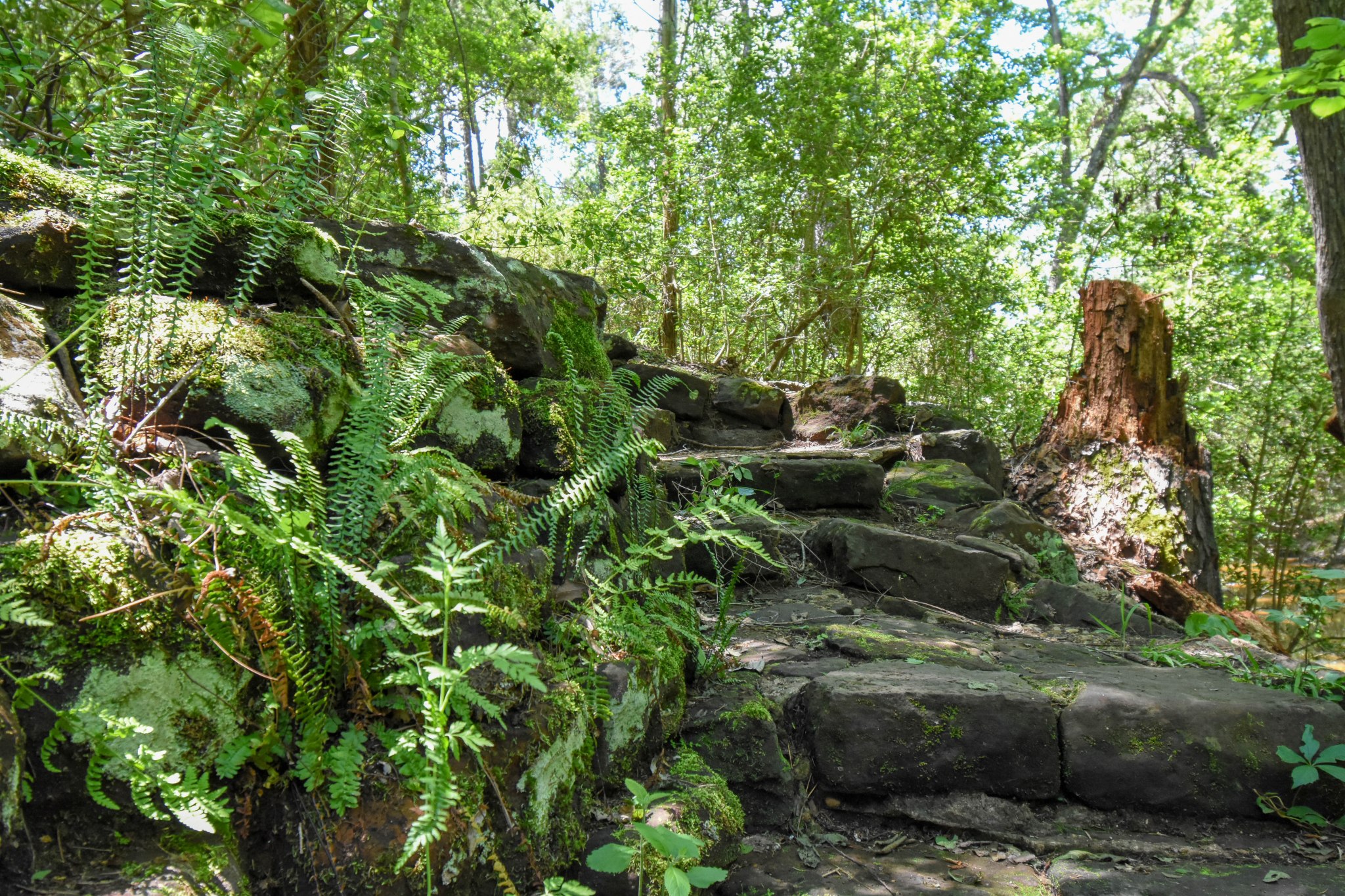 Buescher State Park-2